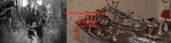 ECSTASY Волосово