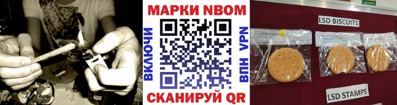 где купить наркоту  Камешково  мега tor  Наркотические марки 1,8мг 