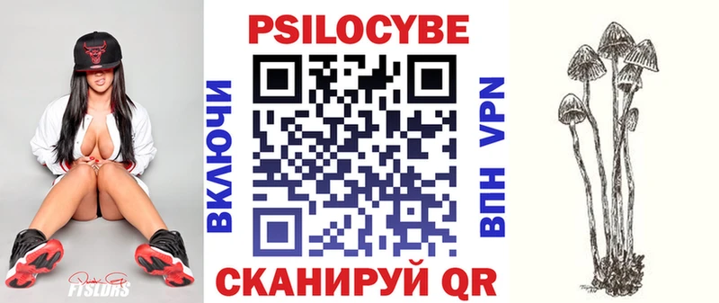 Галлюциногенные грибы мицелий  нарко площадка Telegram  Камешково 